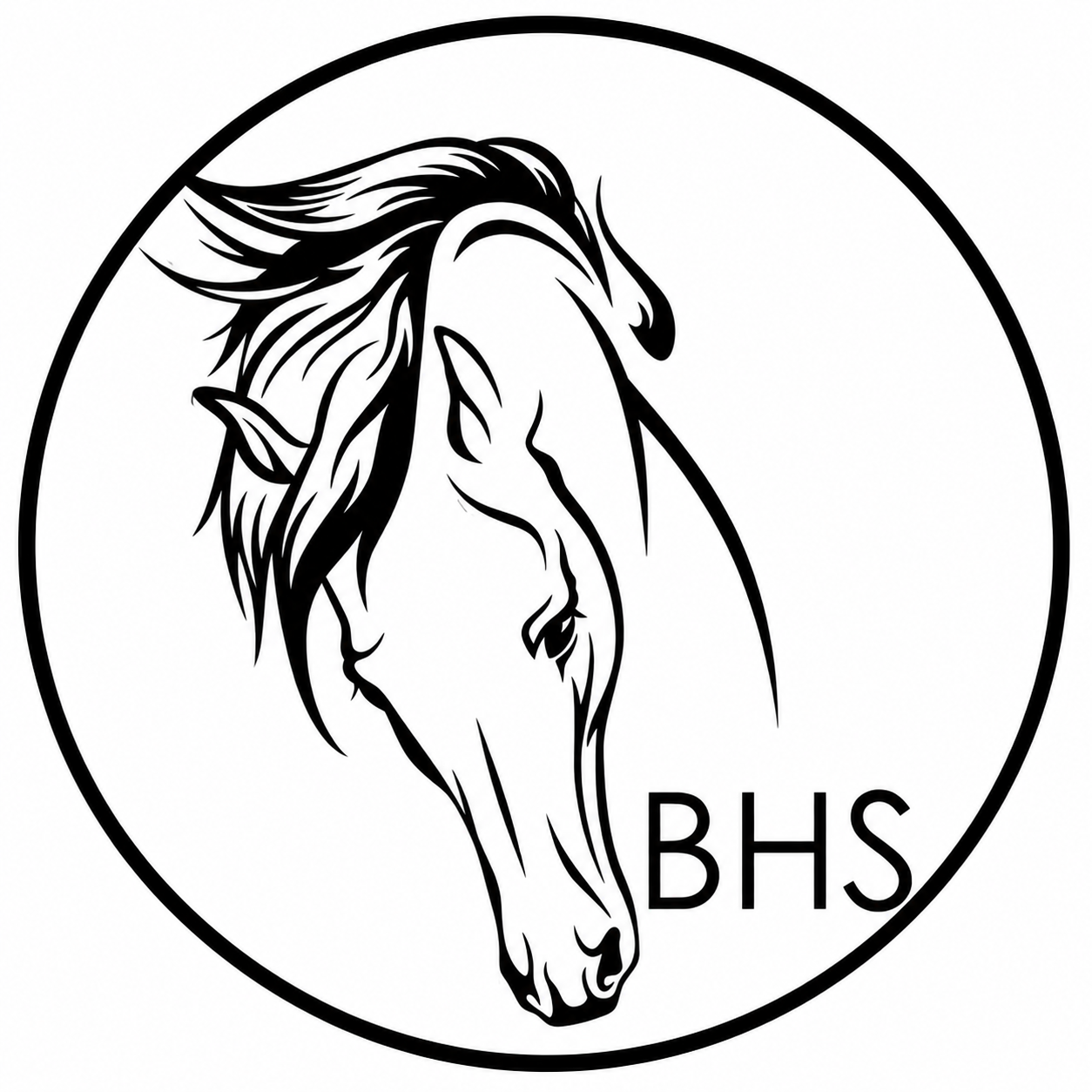 Black Horse Staging logo